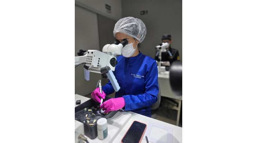 Aperfeiçoamento em Endodontia