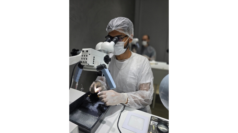 Imersão em Endodontia do Acesso à obturação