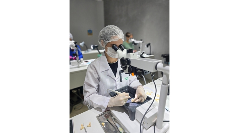 Imersão em Endodontia do Acesso à obturação